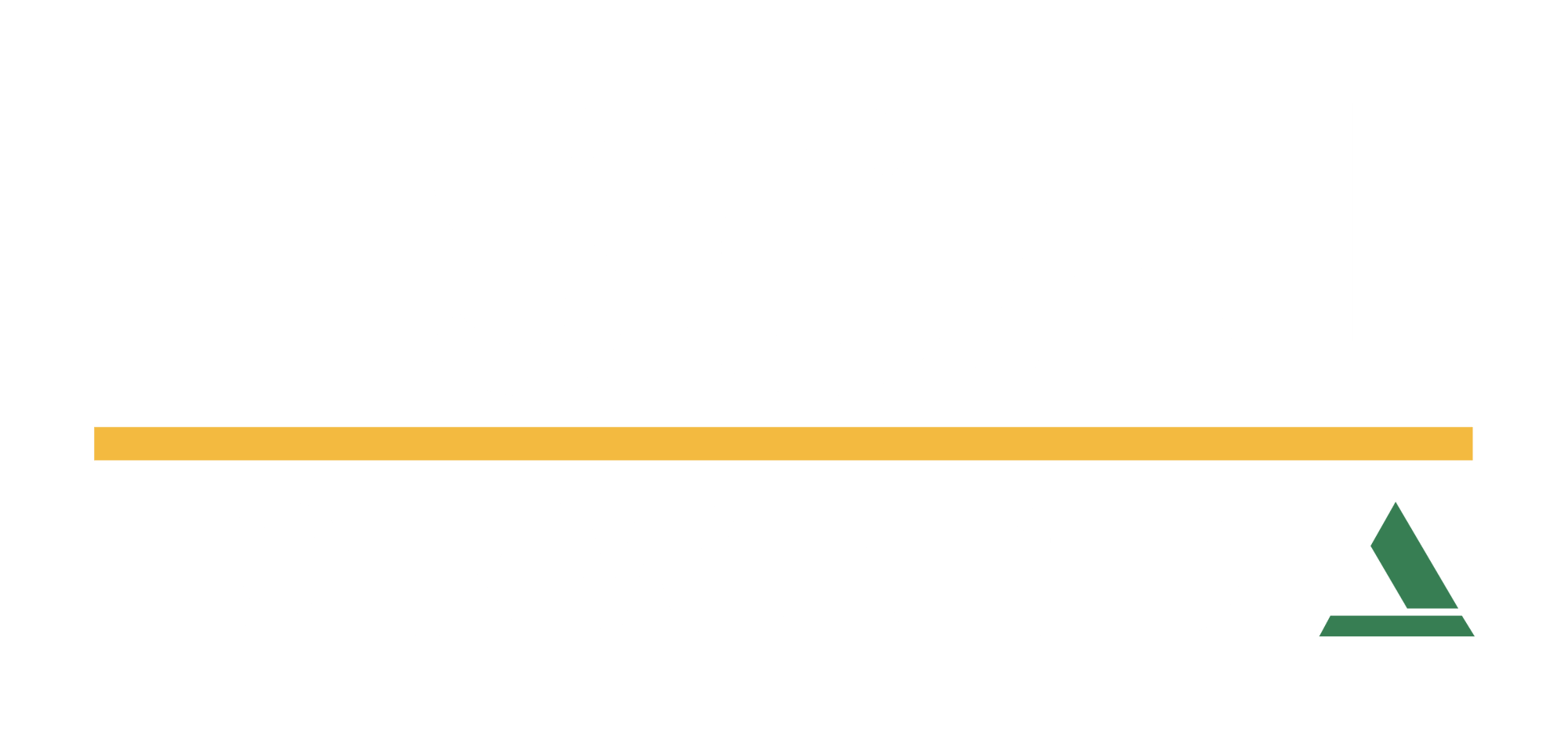 fiscal-forward-logo-reverse-color